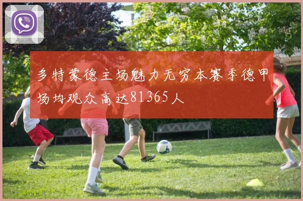 多特蒙德主场魅力无穷本赛季德甲场均观众高达81365人