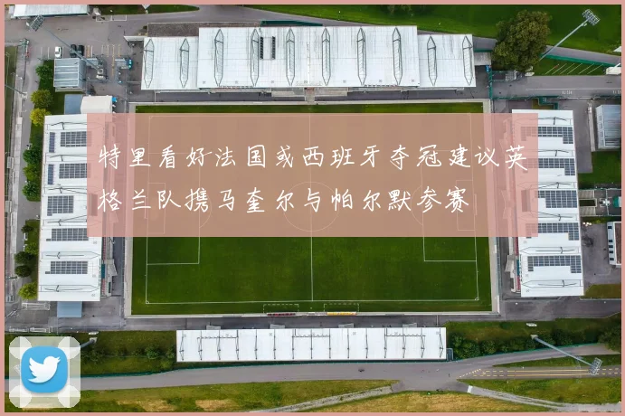 特里看好法国或西班牙夺冠建议英格兰队携马奎尔与帕尔默参赛
