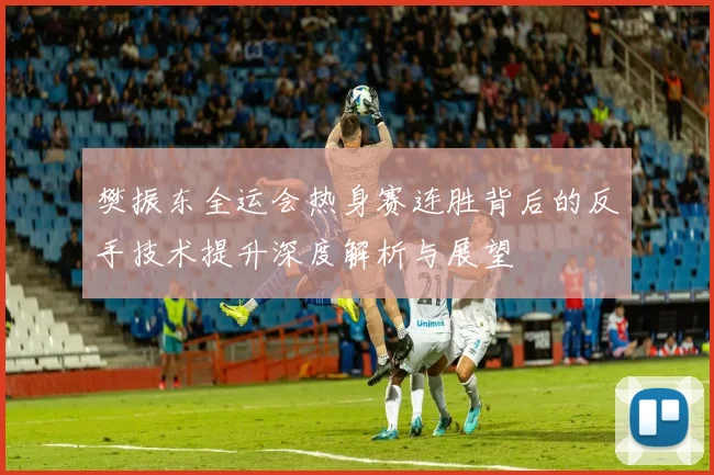 樊振东全运会热身赛连胜背后的反手技术提升深度解析与展望